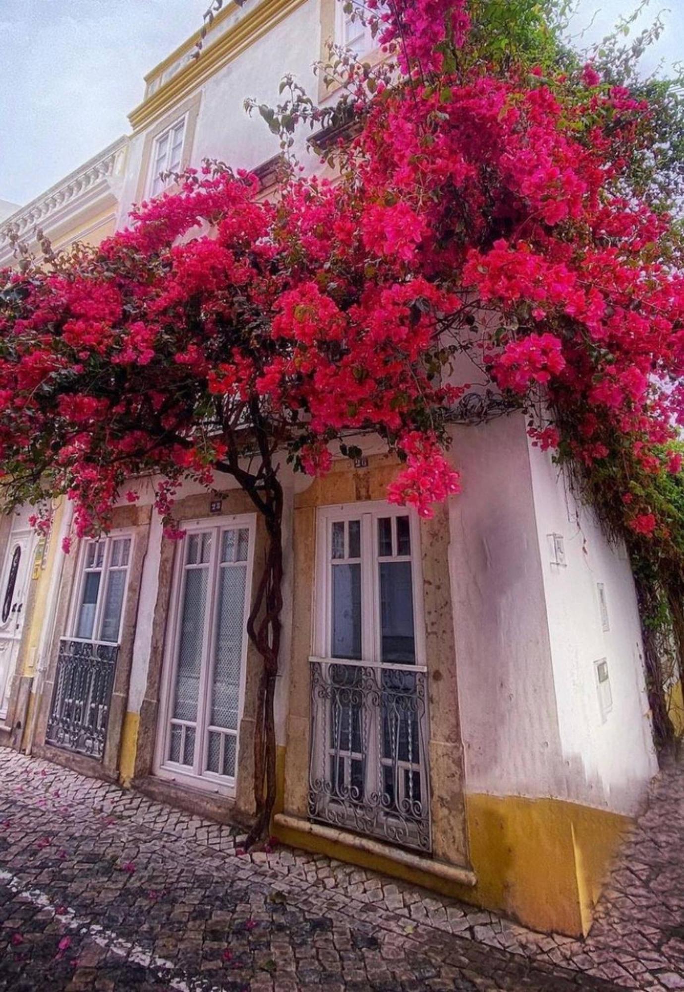 Stylish Studio Gilao In Taviras Historical Centre Luaran gambar